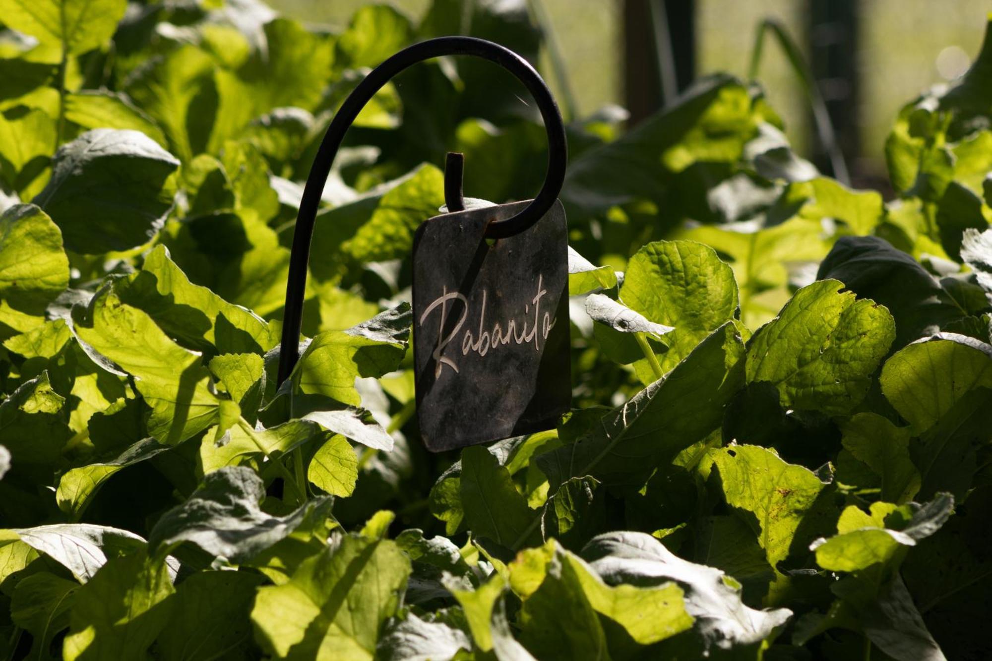 El Colibri - Relais & Chateaux Santa Catalina  Ngoại thất bức ảnh